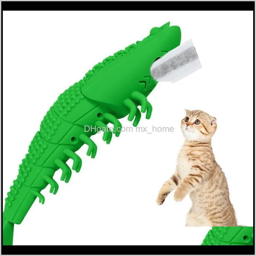 2021 cat toothbrush chew catnip toy crayfish shape kitten teeth cleaning dental care pet teeth cleaning product