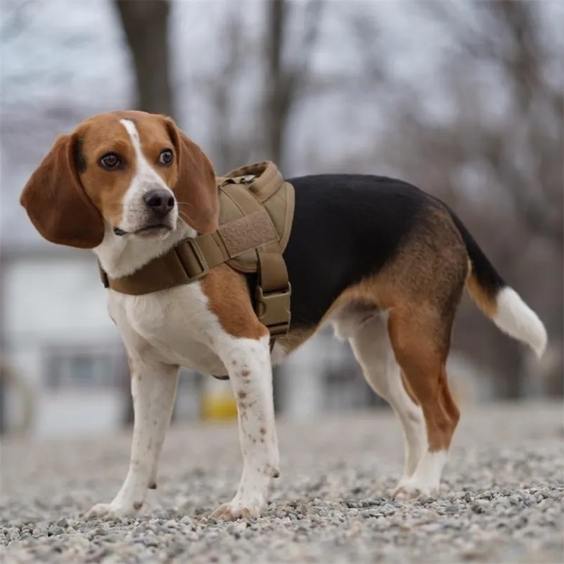 Tactical Dog Harness Wojskowy Patrol K9 Robocza Pet Dog Collar Huness Kamizelka szkoleniowa z uchwytem dla małych i dużych psów 210729