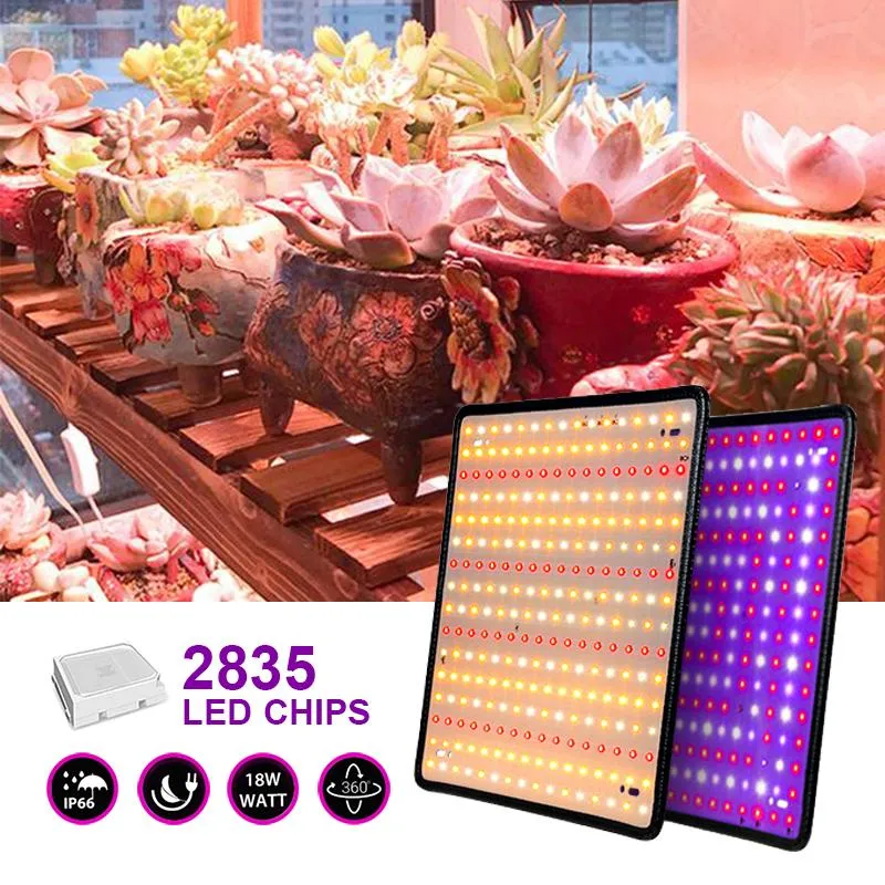 Grow Light Hydroponic Kits Growing Lamp Plant Veg Flower Indoor Lighting Tent 225 Phytolamp Plants 2000W Lights