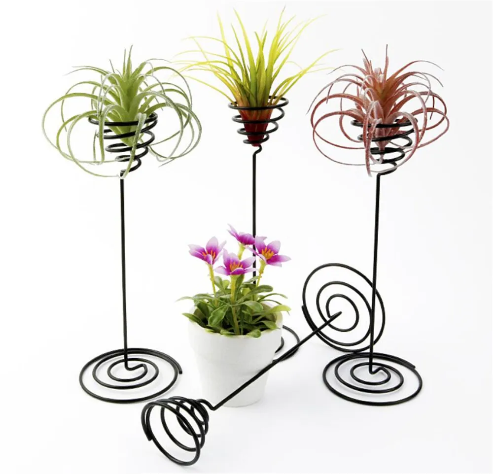 Usine Jardin Décorations Air Plant Stand Titulaire Noir Fer Spirale Fleur AirPlant Conteneur Tillandsia