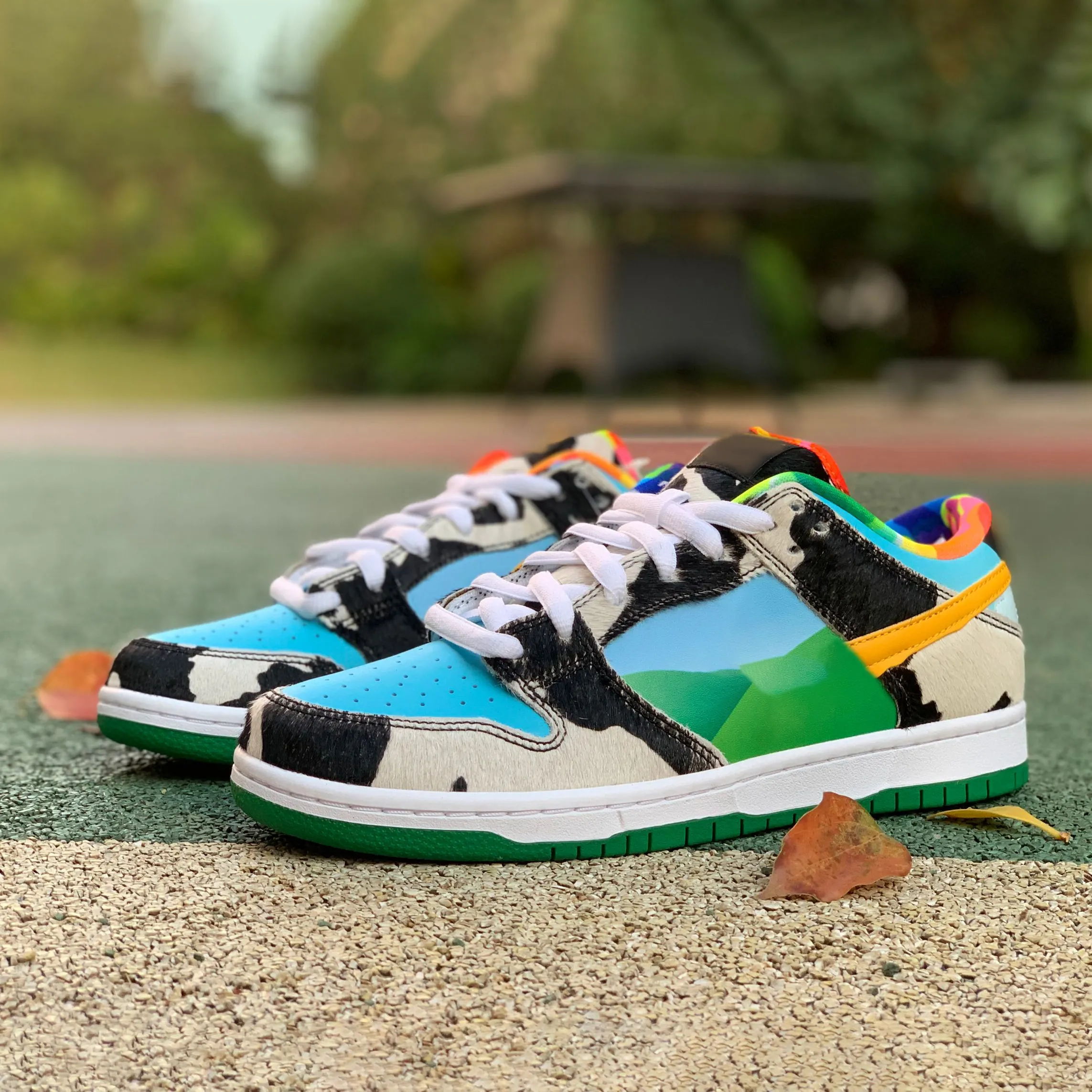 Scarpe da hotsell skate donna