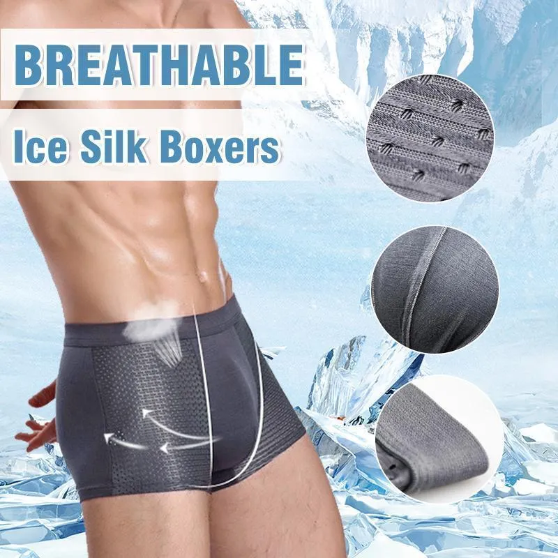 Underpants Mens Breathable Ice Silk Boxer Briefs For Men Bamboo Underwear  Modal Panties Male Sexy Shorts Gray Mesh From Cookfurnace, $35.18