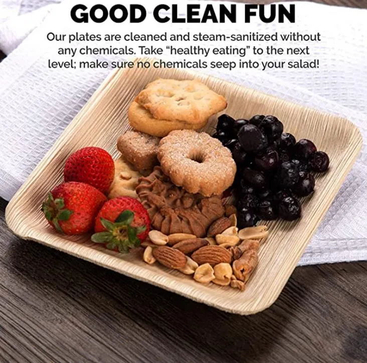 High Quality Eco Friendly Dinner Plates Disposable Wooden Dish - Main Image