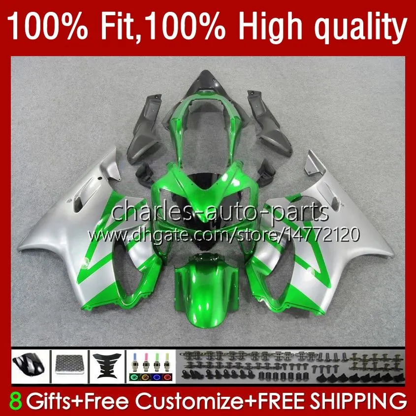 Injektionsformkropp för Honda CBR 600 F4I FS CC F4 I 600F4I 600CC Silver Green 04-07 55NO.7 CBR600F4I CBR600 F4I 04 05 06 07 CBR600FS 2004 2005 2006 2007 OEM Fairing Kit