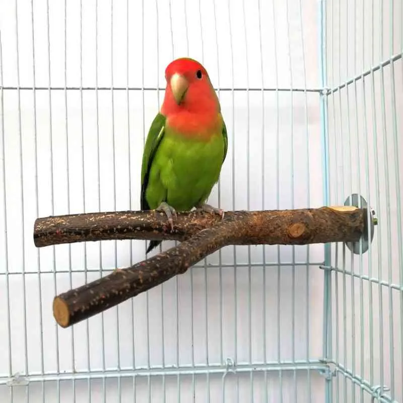 Pet Parrot сырой древесина вилка стойка стойки игрушка 1 шт. 15 см Филиал Одиночные для птиц Хомяк Клетка аксессуары