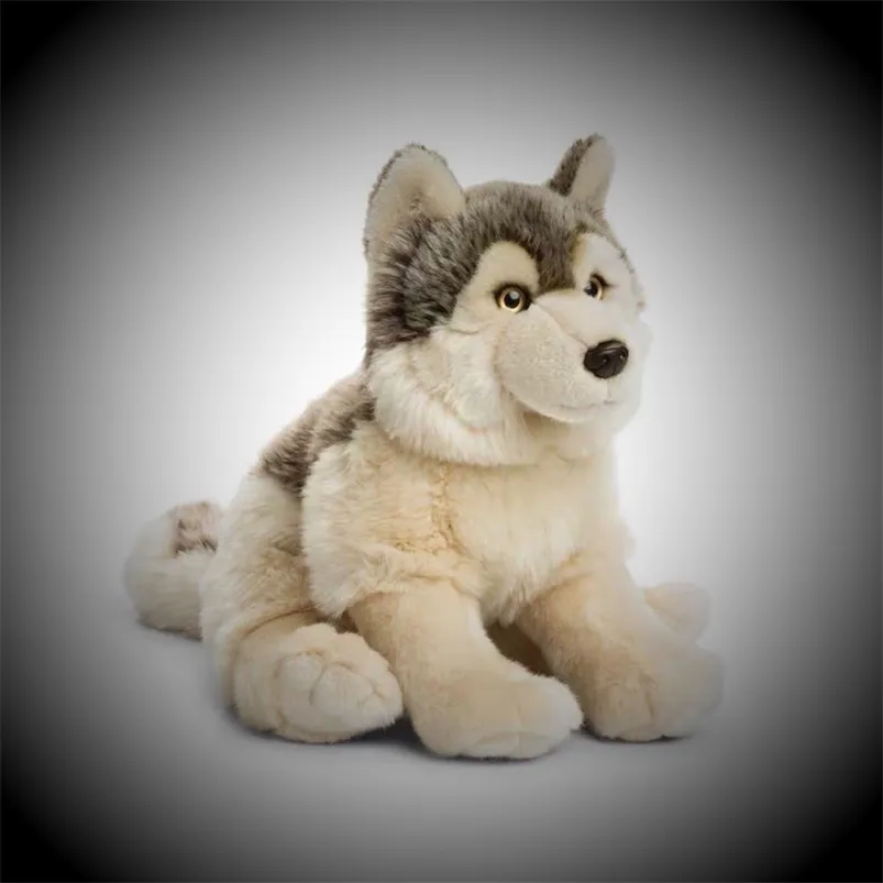 Lobo cinzento bonito brinquedos de pelúcia simulação gigante lula enchida bonecas de animais para crianças meninas presentes 210728