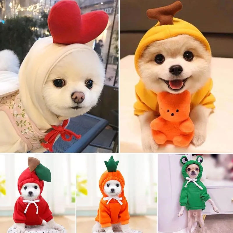 Vêtements pour chiens Costume mignon vêtements pour animaux de compagnie fruits Cosplay automne hiver chat maison pyjamas chiot manteau à capuche