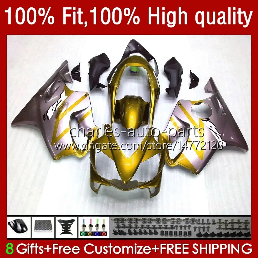 Carrozzeria iniezione per HONDA CBR600F4i CBR600 F4i 04 05 2006 2007 Kit 55No.231 CBR 600F4i 600 F4i FS CC F4 i Golden Grey 2004 2005 06 07 600CC CBR600FS 04-07 Carenatura OEM