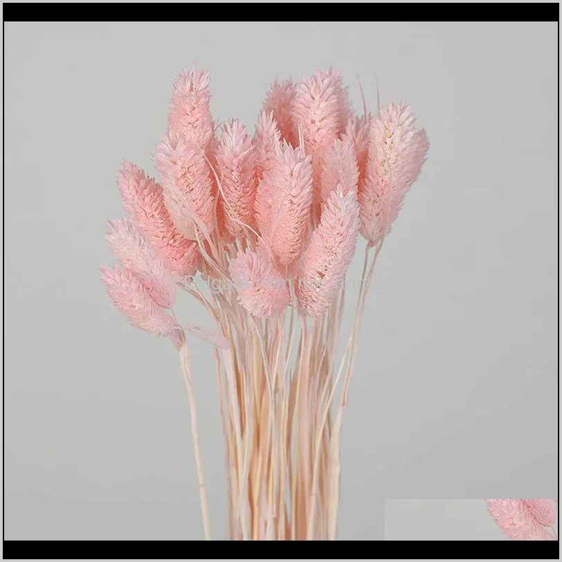 30pcs/lot gradient natural dried flowers bouquet wedding home easter decorations tail grass real valentine`s day decorative & wreaths