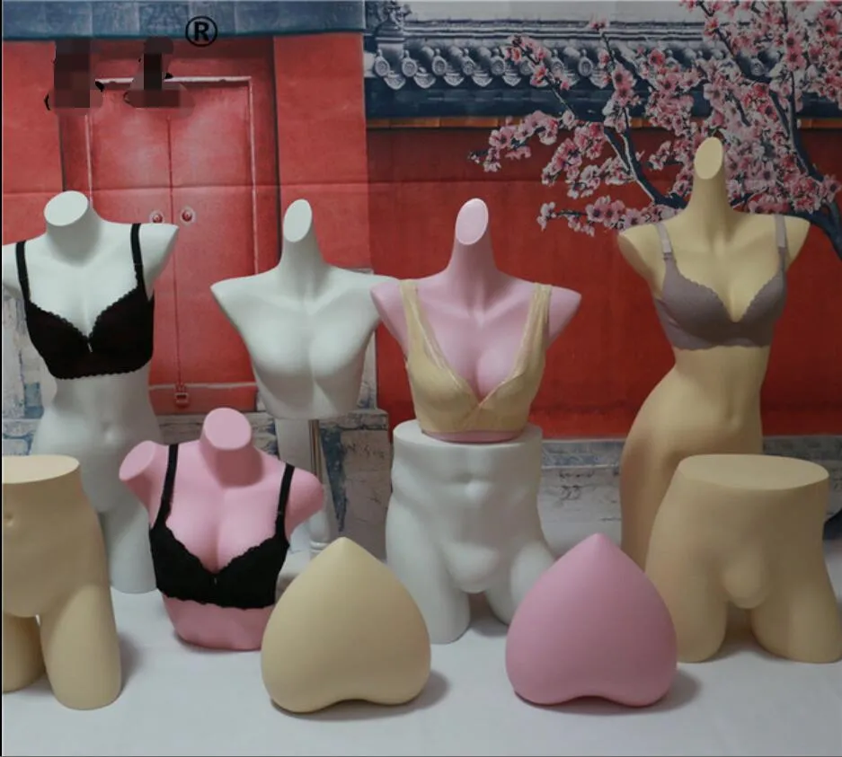 Puntelli modello di biancheria intima Mobili commerciali metà corpo uomo e donna muto reggiseno bianco biancheria intima manichino manichino in plastica cornice per display