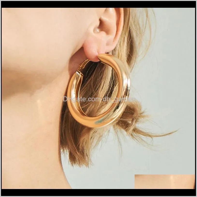 classic punk style thick hoop earring for women girls fashion silver gold plating hiphop geometric earrings fashion jewelry wholesale