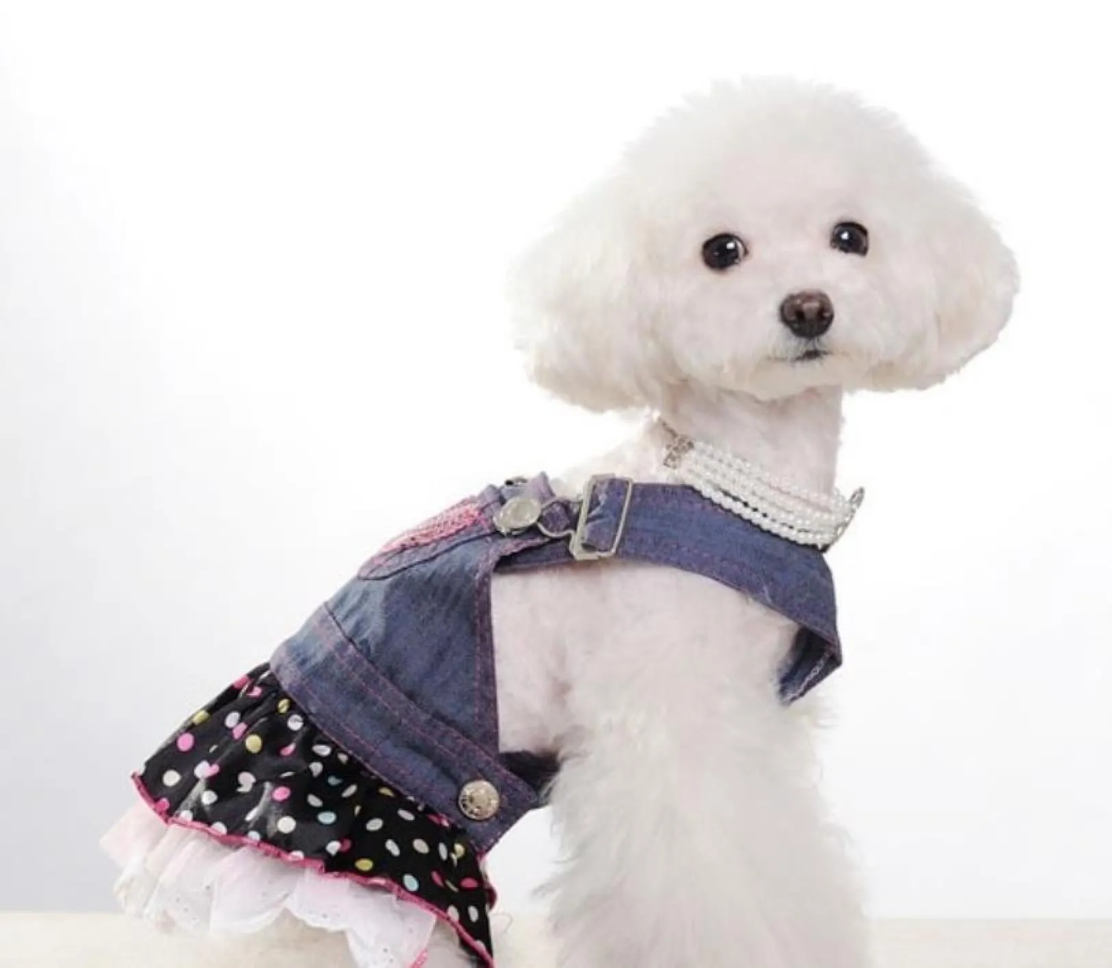 Lovely Casual Sweet Cute Canine Dog Denim Jean Dress Clothes Heart Print Pets Puppy Skirt Apparel Clothing Dog Supplies