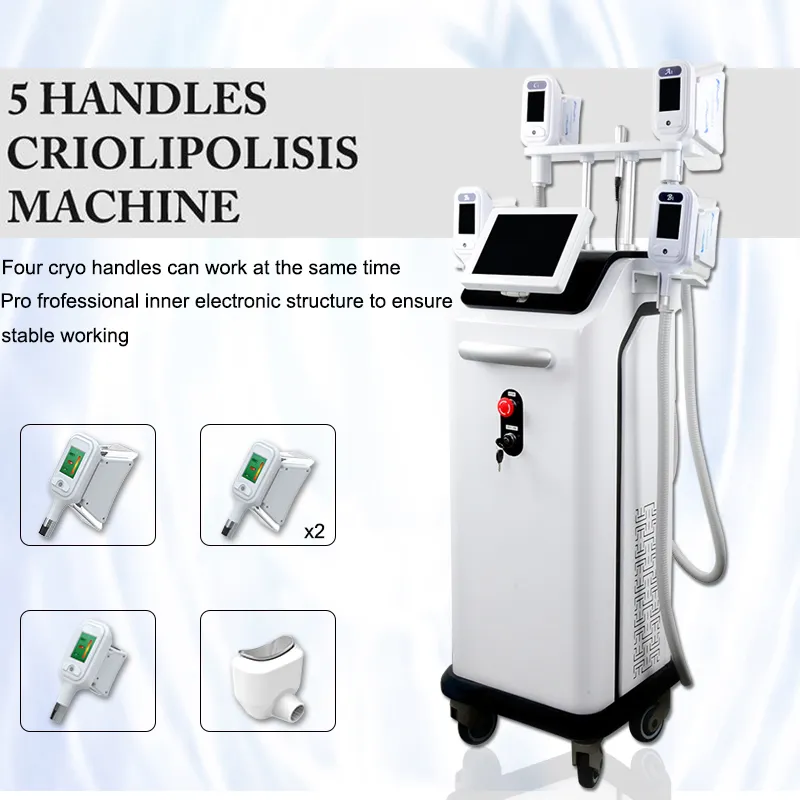 고품질 criolipolisis machine 5 핸드 피스 냉동 분해 지방 동결 슬리밍 미용 장비 cryo 셀룰 라이트 제거 2 년 보증