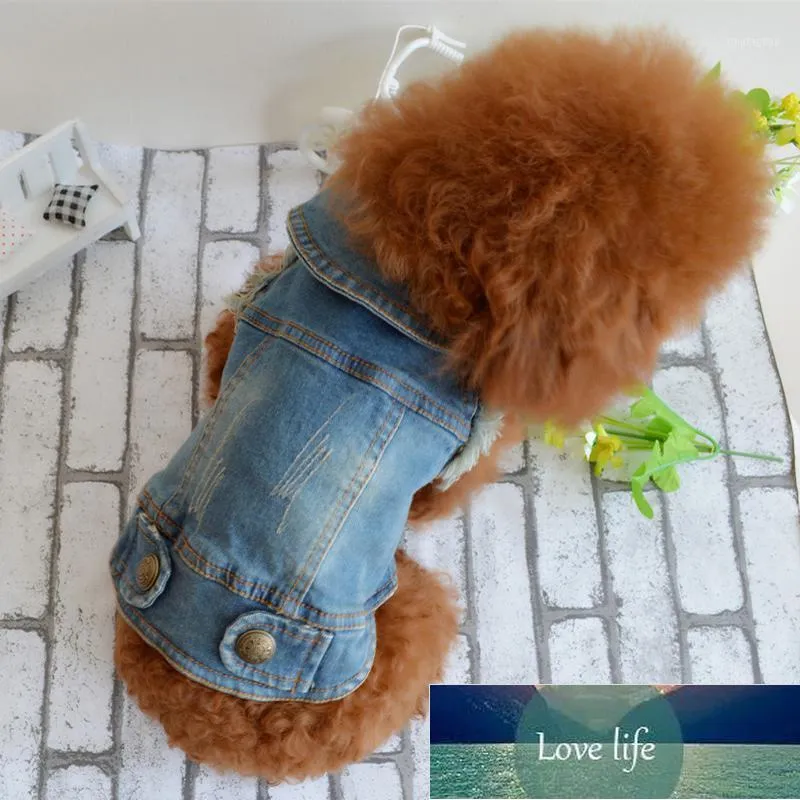 Собака одежда Dannykarl одежда Тедди VIP, чем медведь домашнее животное осень и зимняя одежда винтажная царапина узорчатая личность джинсовая версия1