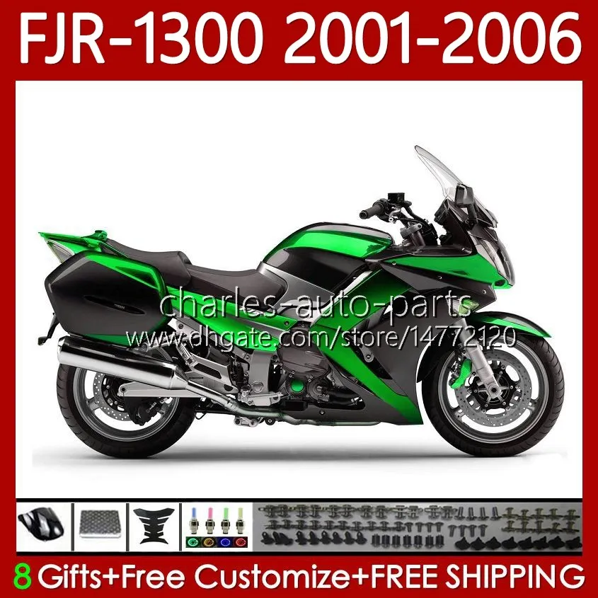 Bodykit für Yamaha FJR-1300 FJR1300A FJR 1300 A CC 2001-2006 Karosserie 106Nr