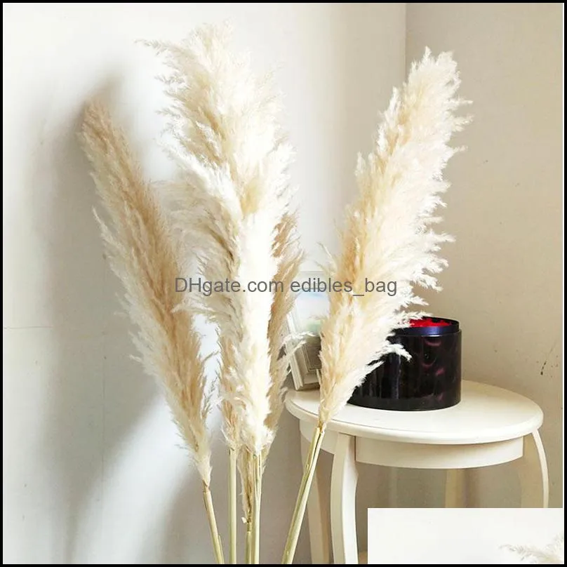Decorative Flowers & Wreaths 85-120cm Pampas Grass Extra Large Natural White Dried Bouquet Fluffy For Boho Vintage Style Home Wedding