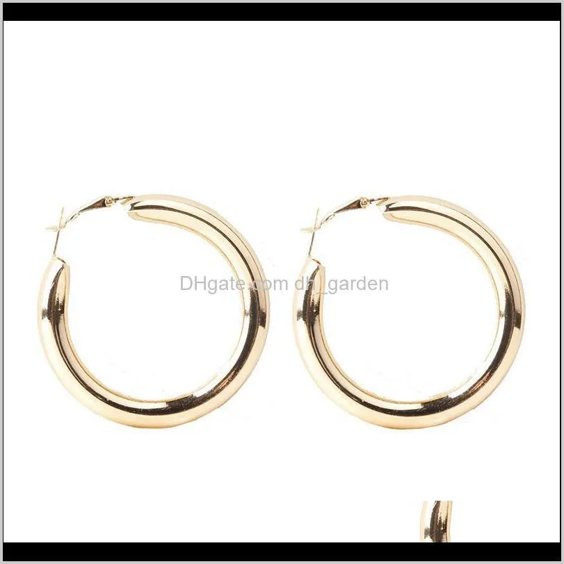 classic punk style thick hoop earring for women girls fashion silver gold plating hiphop geometric earrings fashion jewelry wholesale