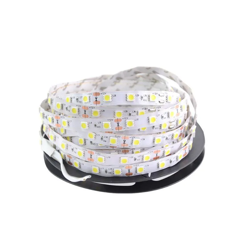 2021 nova tira de LED Luz 5050 DC12V 5M 300LELLE