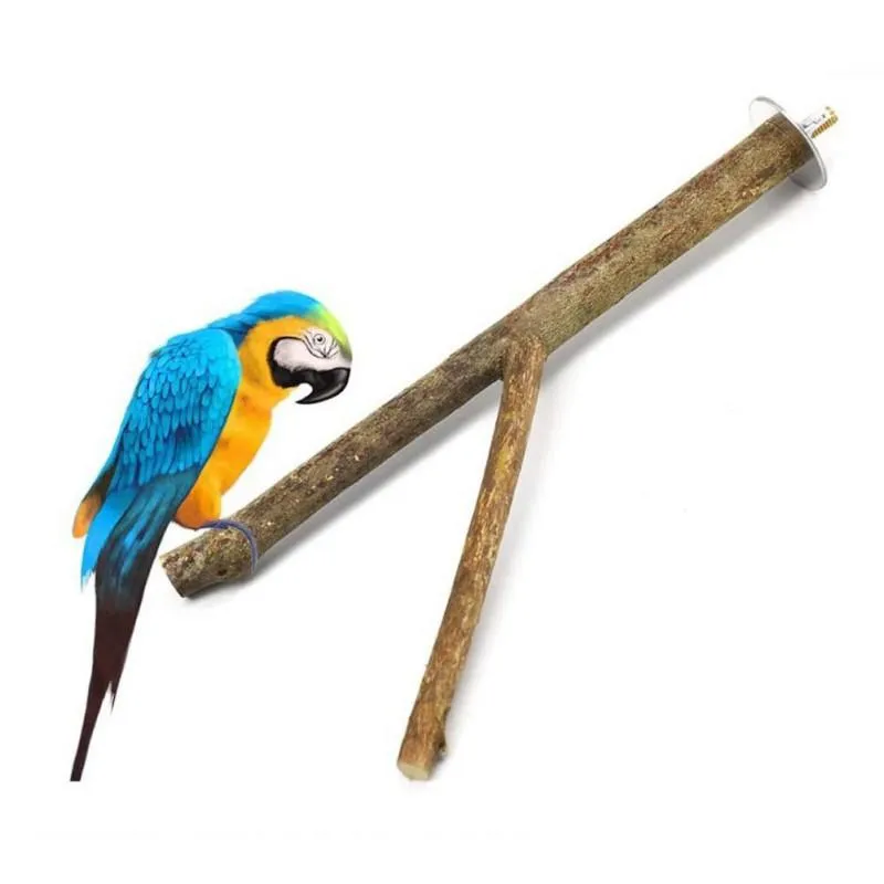 Andra fågelförsörjningar papegoja timmergren Stand Bar Nibble slumpmässig färg tjock 2,5-3,5 cm dubbel gaffel 25 cm