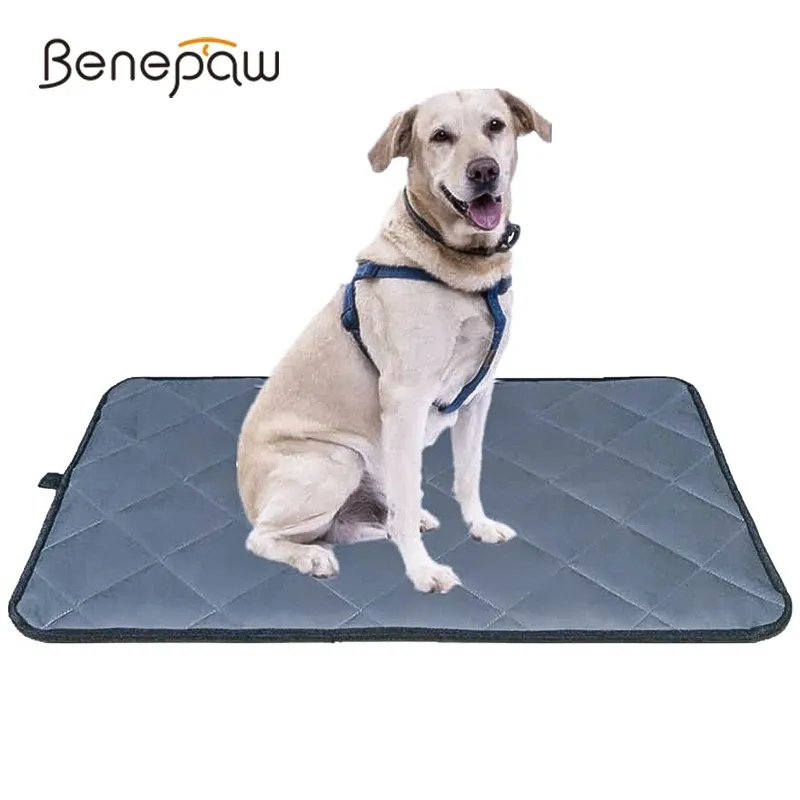 Benepaw Bijtbestendige hondenmat voor het hele seizoen, antislip waterdicht huisdierbed voor kleine, middelgrote en grote honden, wasbaar kratkussen 2104012220