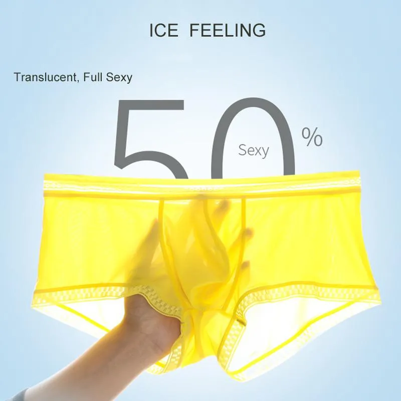 Summer Style Translucent Ice Silk Mens Underwear /Bag, Thin