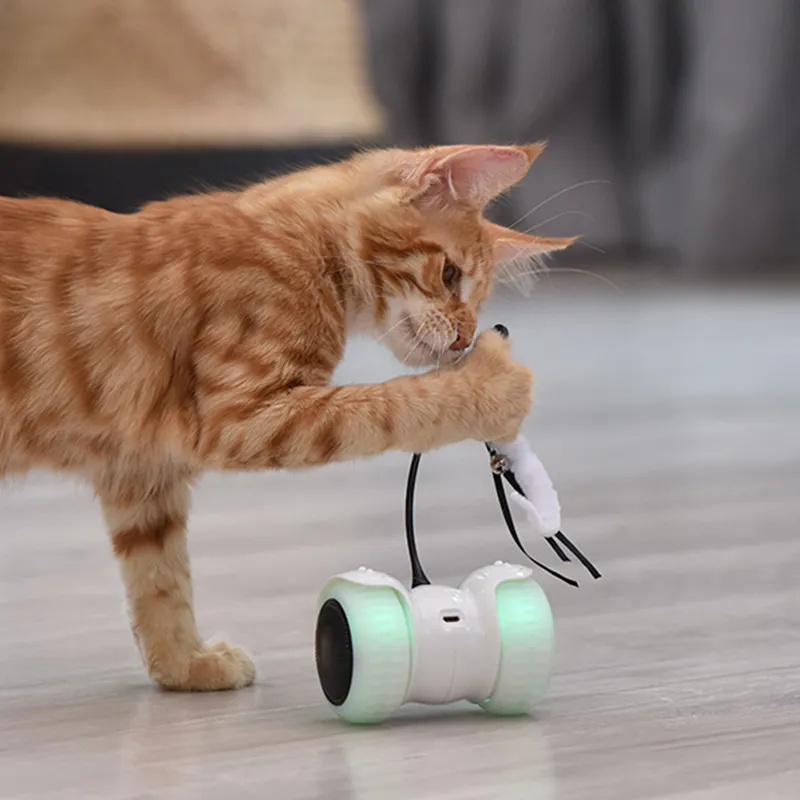 DHgate Electric Remote Control Cat Toy Interactive Balance Car with Led Feather for Indoor Pet Play Home Garden