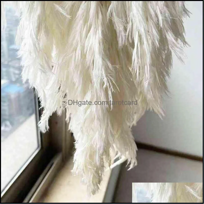 White Pampas Grass Large Size Real Dried Pampas Grass Wedding Use Flower Bunch Natural Plants Home Decor Fall Decor 220110