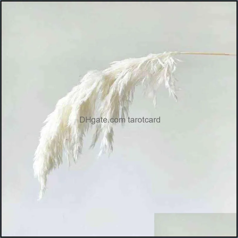 White Pampas Grass Large Size Real Dried Pampas Grass Wedding Use Flower Bunch Natural Plants Home Decor Fall Decor 220110