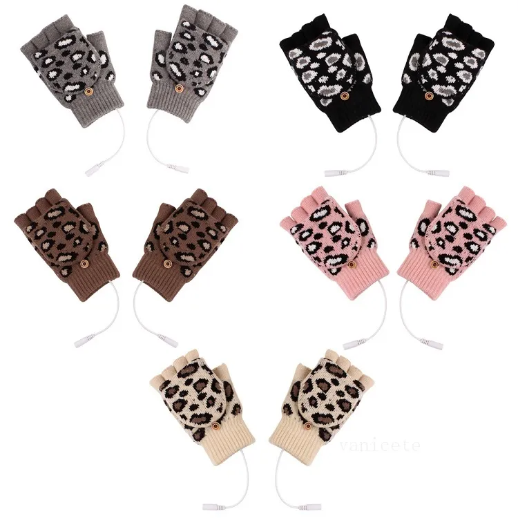 Party Favor Wolle warme USB-Handschuhe für Erwachsene, Herren- und Damen-Herbst- und Winter-Leoparden-Fingerhandschuhe T2I53092