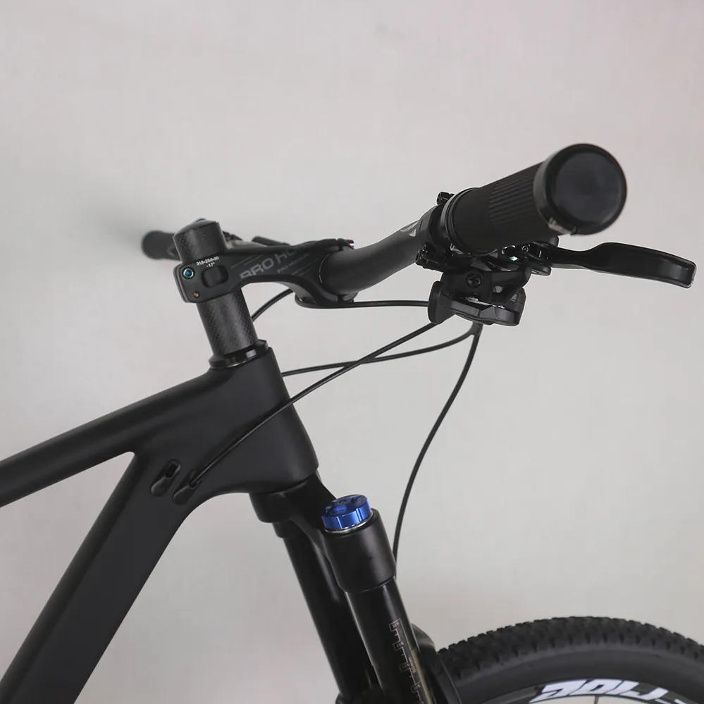 NEW Carbon 29er suspension mountain complete bike Carbon frame XC MTB SLX M7100 groupset 12Speed bicycle FM027
