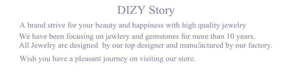 dizy story