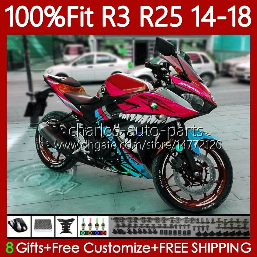 Sticker r25 hotsell