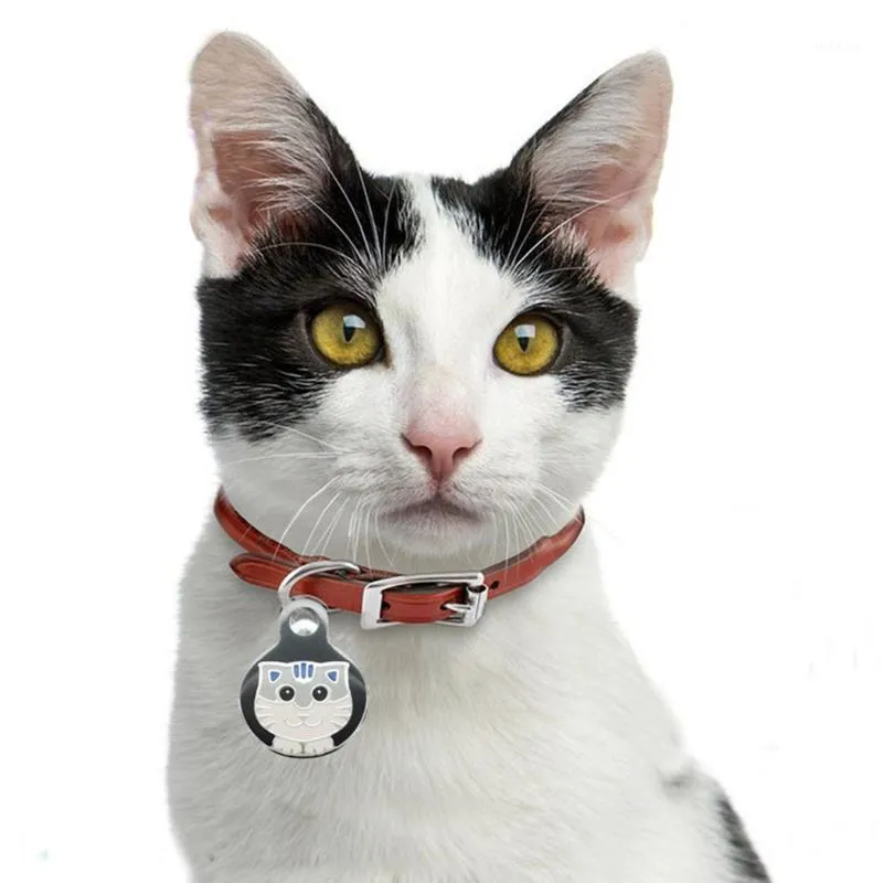 Metal Pet Tag Enmyled Cat Grawerowany Szczeniak Identyfikator Kitten Nazwa z zapięciem Homara Naszyjnik Kołnierz Akcesoria Dostaw Kołnierze Prowadzi
