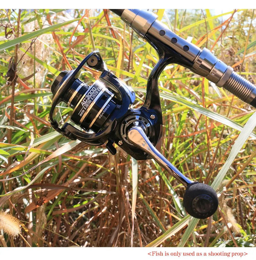 Metal Carp Fishing Accurate Spinning Reels With Feeder And Coil 8Kg Max  Drag 1000 70002021 From Ai810, $29