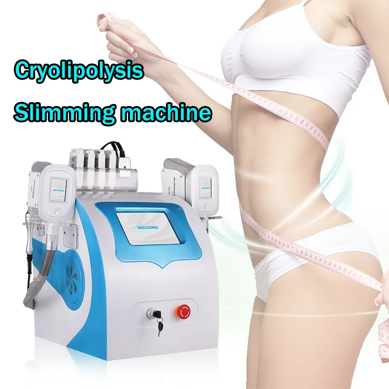 Cryolipolysis Perde de Peso Equipamento Cool Slimotherapy emagrecimento Forma do corpo Instrumento LLLT LIPO Laser High Quality CE aprovado