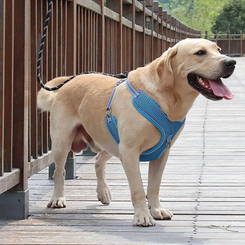 Correa para perro mediana y grande, correa para el pecho, arneses de cuerda de tracción para mascotas de poliéster reflectante a prueba de explosiones para collares para caminar, correas