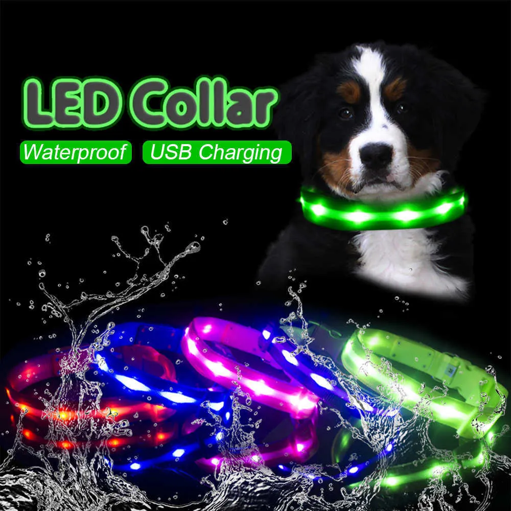 Collare per cani LED impermeabile IPX7 Collare di ricarica USB 200mAh per cani Cuccioli di notte Guinzaglio anti-smarrimento Prodotti per animali Accessori per cani 211006