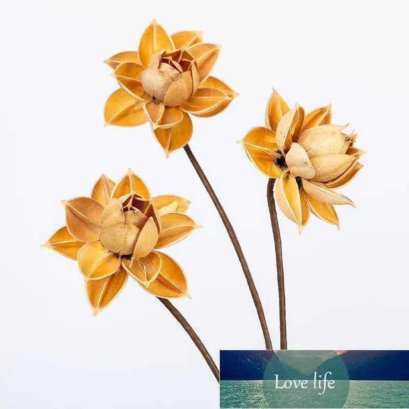 Decoratieve bloemenkransen 2 stks Natuurlijke gedroogde bloemtak, Craft Lotus, DIY Display voor Room Office Bruiloft Gunst Floral Decor, Gift Eternne