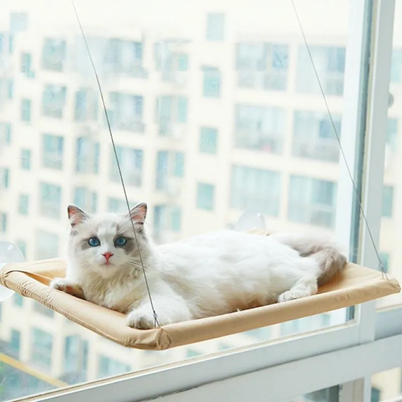 Kattbäddar möbler husdjur hängmatta säng för katter hängande bekvämt fönster med filt soligt säte mjuk hylla leveranser