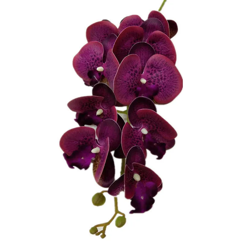 4P Latex Butterfly Orchid Flores 9 Cabeças Real Touch Boa Qualidade Artificial Phalaenopsis Orchid 40 "Para Casa Decoração Floral 210624