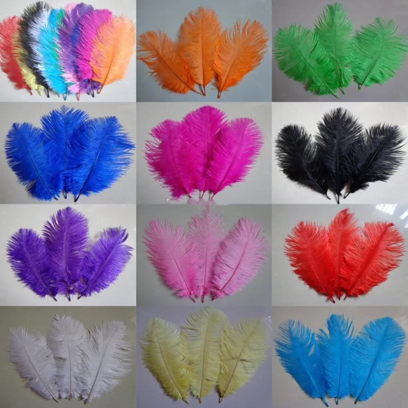 Black Ostrich Feathers/Plumes Wholesale 16-18 inch 12 Pieces Dozen Bulk  Wedding Centerpieces Crafts, arts DIY stage and events decoration