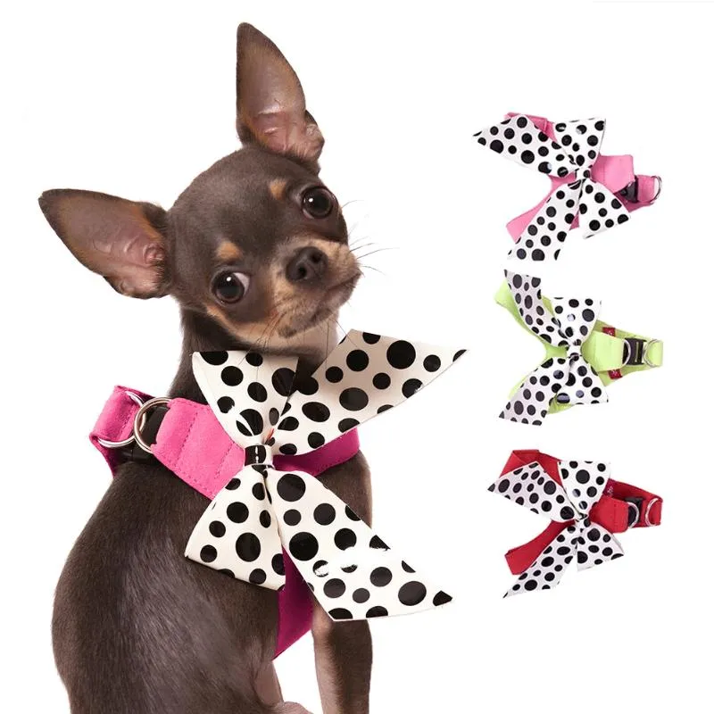 Dog Collar Leashes Big Bows Comfort Harness Side Pet Collar med bly koppel för små medium djur tyg prinsessor varor