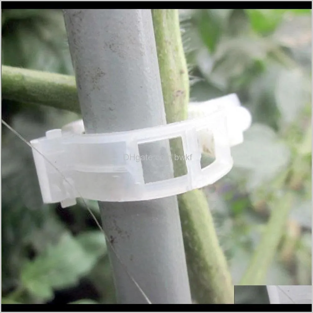 plant support garden clips for vine upright vegetable tomato white