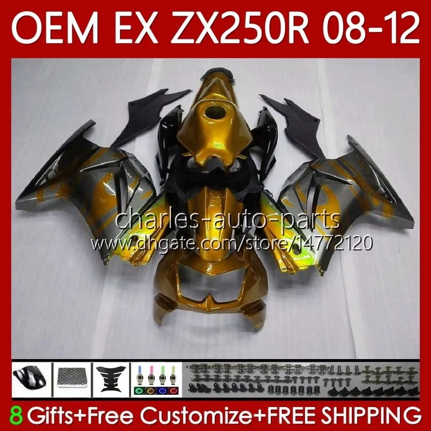 Injeção OEM para Kawasaki Ninja ZX-250R EX250 ZX250 R ex zx 250R 2008-2012 corpo 81NO.202 EX-250 ZX250R 08 09 10 11 12 EX250R Gold Flames 2008 2009 2010 2011