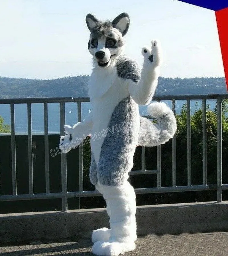 Costume de mascotte Halloween Wolf Dog Husky de qualité supérieure, personnage de dessin animé, carnaval unisexe, taille adulte, tenue fantaisie de fête d'anniversaire de noël