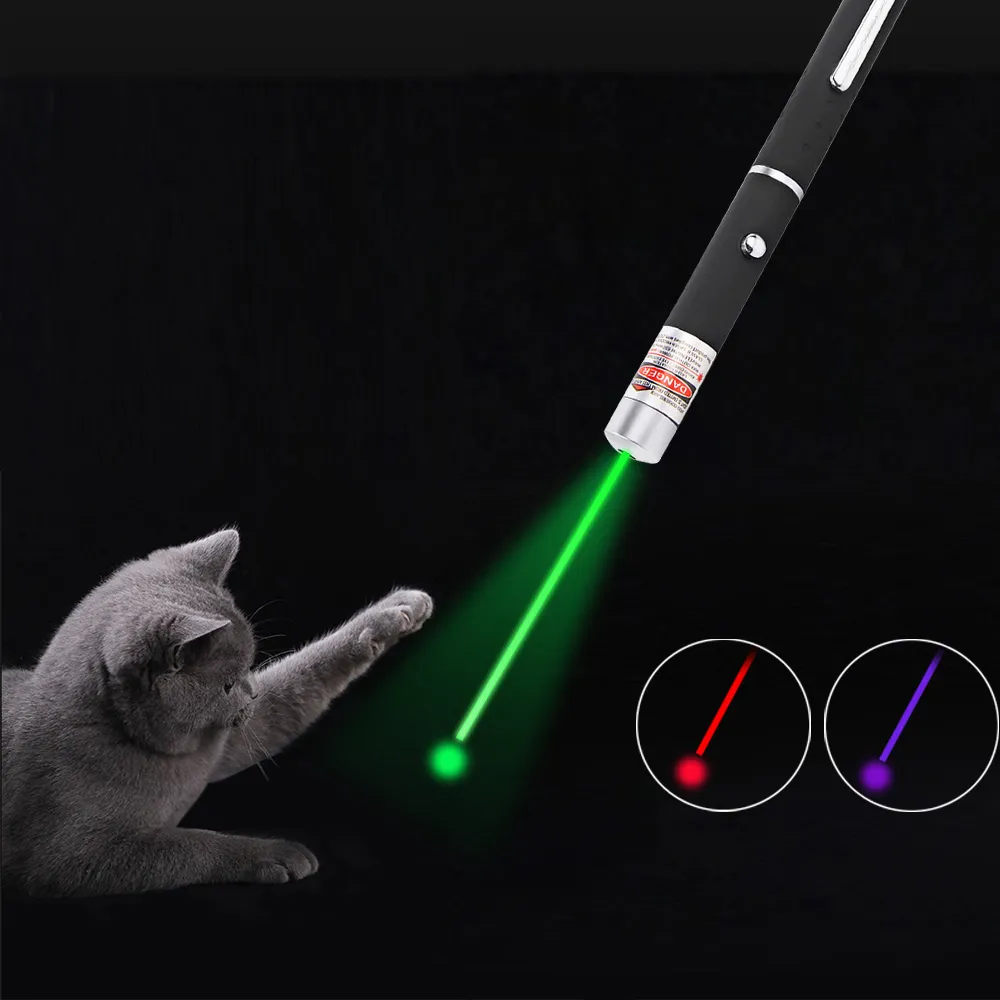 LED Laser Pet Cat Toy 5MW Red Dot Laser Light Toy Mirino laser 530Nm 405Nm 650Nm Penna puntatore Giocattolo interattivo con gatto