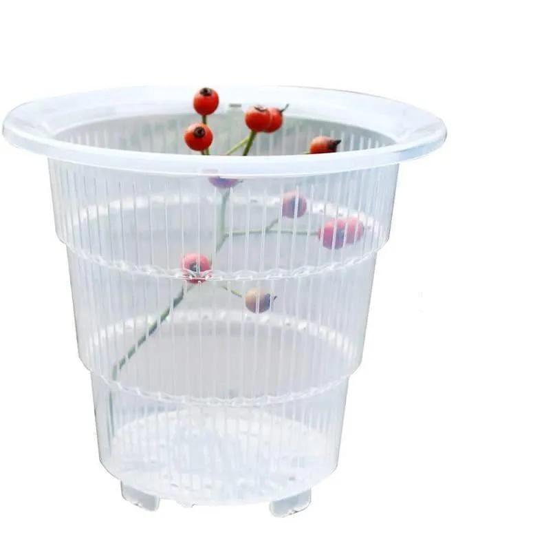 20 stks / partij MeshPot 10cm Clear Plastic Orchid Cactus Pots Succulent Planter met Gaten Lucht Snoeien Functie Wortel Growth Slots