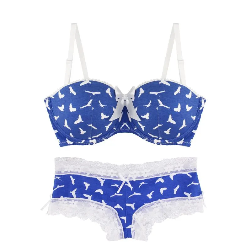 Brasil Sets Miaoersidai Sexy Girls Sutiã Set Flying Bird Bird Blue Underwear Renda Bralette e Breve Acolchoado Tem tamanho pequeno 28-36 A-DDD
