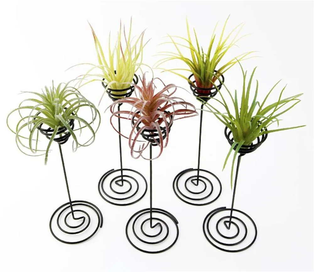 Trädgårdsdekorationer Air Plant Stand Holder Black Iron Spiral Flower Airplant Container Tillandsia