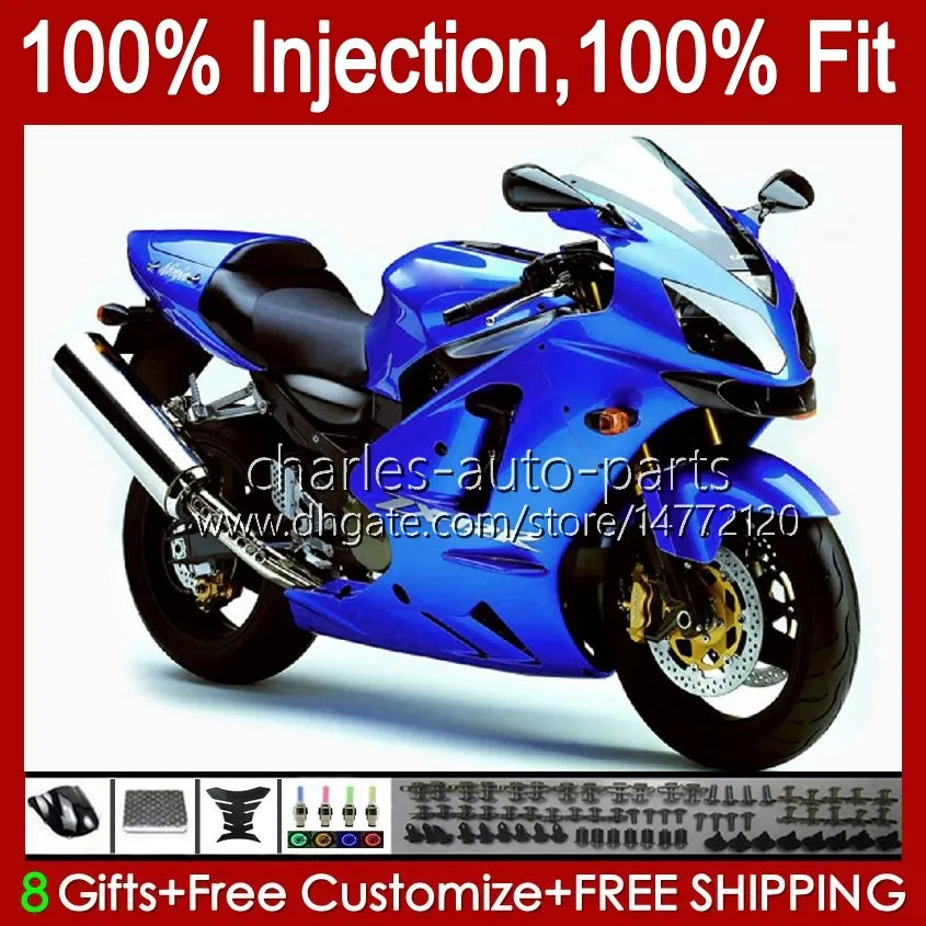 OEM Purple Flame Bmw S1000rr Fairings Oem Bodywork For